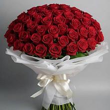 Букет 101 Красная роза Блэк Мэджик #REPLACE_PRED# Ленинских Горках