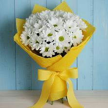 Букет цветов из:  Хризантемы в Ленинских Горках