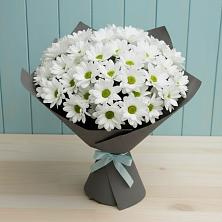 Букет цветов из:  Хризантемы в Ленинских Горках