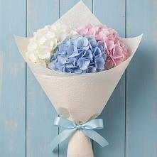 Букет цветов из:  Гортензия в Ленинских Горках