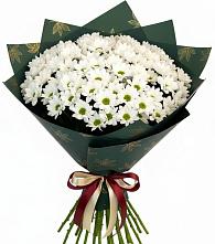 Букет цветов из:  Хризантемы в Ленинских Горках