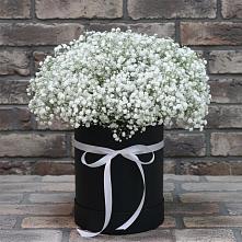 Цветочная композиция из Гипсофила в шляпной коробке #REPLACE_PRED# Ленинских Горках