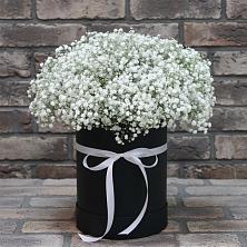 Цветочная композиция из Гипсофила в шляпной коробке в Ленинских Горках