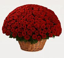 Премиум букет из: Розы в Ленинских Горках