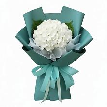 Букет цветов из:  Гортензия в Ленинских Горках